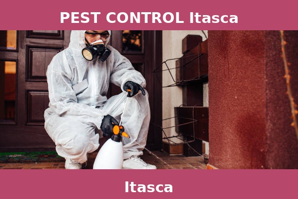 PEST CONTROL Itasca